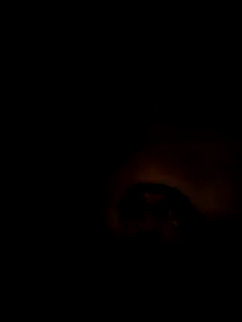 ShawnandDani7074 online show from 02.07.26