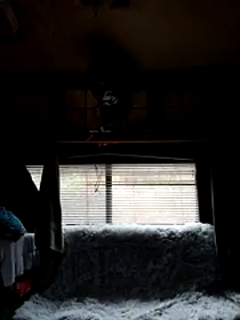 ShawnandDani7074 online show from 02.22.26