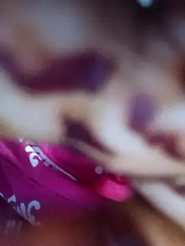 Exotic-bhabhi online show from 04.19.26