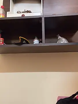 Snapshot of modelnishu chatting on 04.09.26 modelnishu online show from 04.09.26