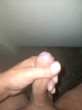 fepintudo online show from 04.29.26