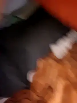 Snapshot of Ramon42aleman chatting on 10.18.25 Ramon42aleman online show from 10.18.25