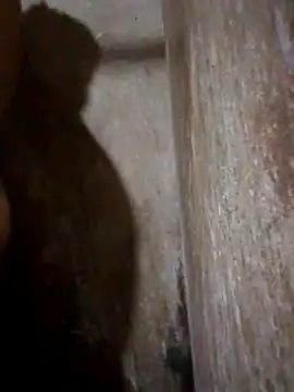 Lujor online show from 04.11.26