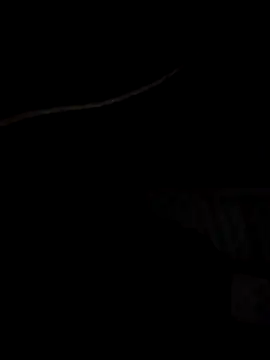 Xharmakesyoufeelorgasms online show from 10.19.25