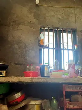 Sunny lotus online show from 12.01.25