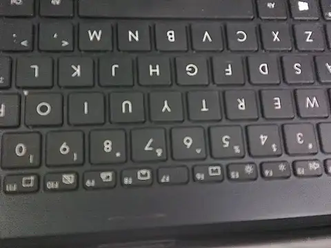 WetWildPussy online show from 09.23.25