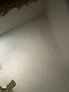 Snapshot of honestlychina chatting on 10.03.25 honestlychina online show from 10.03.25