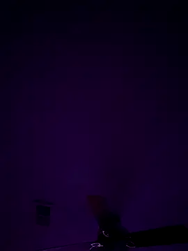 Snapshot of honestlychina chatting on 10.10.25 honestlychina online show from 10.10.25