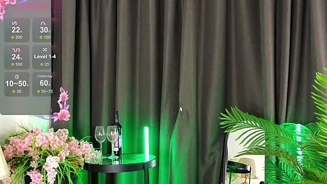 Snapshot of DebiHenks chatting on 05.31.26 DebiHenks online show from 05.31.26