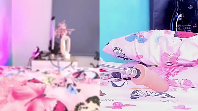 perla cm online show from 04.05.26