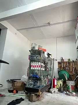 Snapshot of Terra-22cm chatting on 02.14.26 Terra-22cm online show from 02.14.26