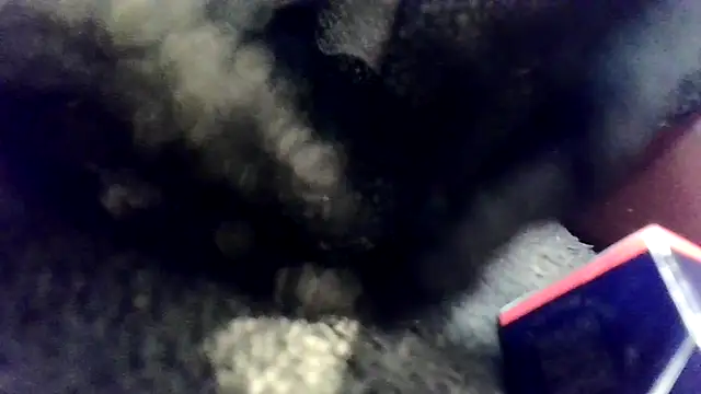 Evieskyyxh online show from 11.26.25