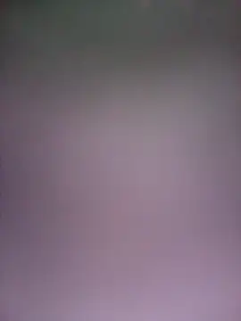 JoseJjvelaz online show from 04.17.26