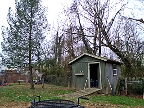 sloppytopkins online show from 11.21.25