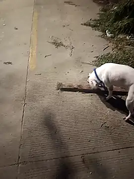 Frank0021 online show from 12.14.25