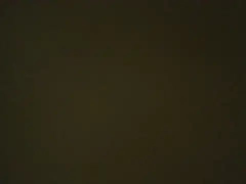 Quarentaoon online show from 10.03.25