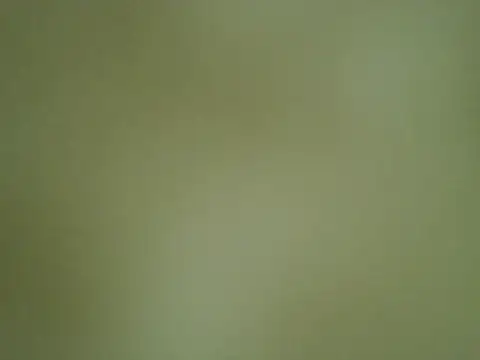 Quarentaoon online show from 10.04.25