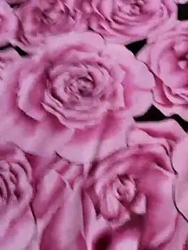 sana-5 online show from 04.14.26