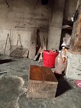 TinTin321 online show from 03.03.26