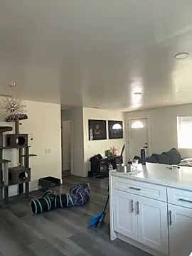 blazeyblake online show from 02.06.26