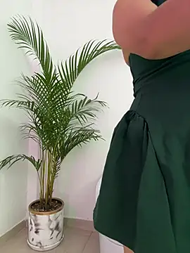 Ariana2017 online show from 02.24.26