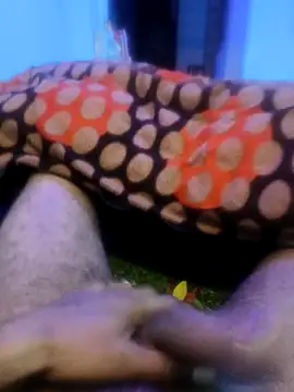 Snapshot of pppppp7811 chatting on 02.14.26 pppppp7811 online show from 02.14.26