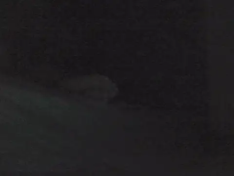 sarahkat86 online show from 10.30.25