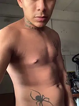 Novindot23cm online show from 12.21.25