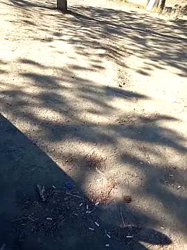 Snapshot of bullut06 chatting on 09.23.25 bullut06 online show from 09.23.25