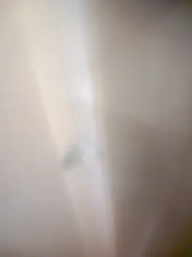 bullut06 online show from 02.20.26