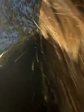 Snapshot of -juicy_ chatting on 02.17.26 -juicy online show from 02.17.26