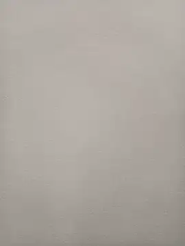 Snapshot of Chadni_kannada chatting on 11.29.25 Chadni kannada online show from 11.29.25