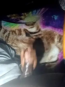 Snapshot of ANDACONDA-PYTHON chatting on 11.02.25 ANDACONDA-PYTHON online show from 11.02.25