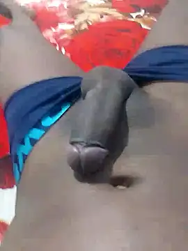 gatooo preto online show from 01.16.26