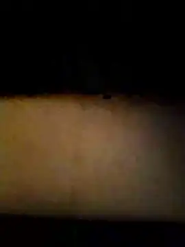 Celestial Field online show from 01.14.26