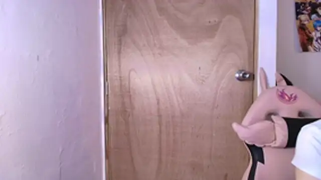 Terraelowen online show from 02.19.26