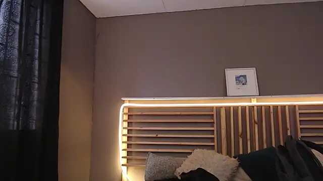 Snapshot of PaulEvens chatting on 02.12.26 PaulEvens online show from 02.12.26