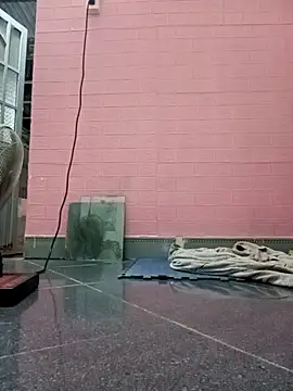 Rose 194 online show from 10.26.25