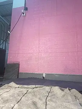 Rose 194 online show from 02.24.26