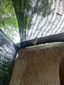 Snapshot of maturexxxnaughty chatting on 04.29.26 maturexxxnaughty online show from 04.29.26