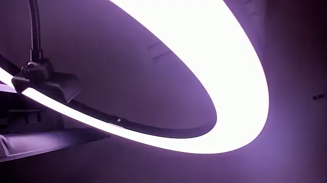 Snapshot of lilithasm chatting on 01.19.26 lilithasm online show from 01.19.26