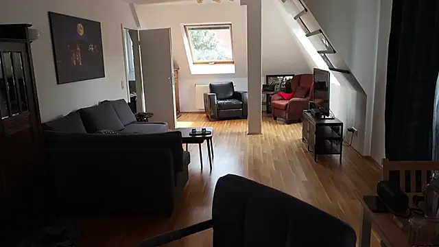 Snapshot of Tanywish chatting on 11.04.25 Tanywish online show from 11.04.25