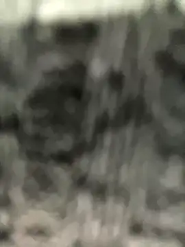 caroline  muller online show from 10.14.25