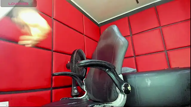 damian bull online show from 02.13.26