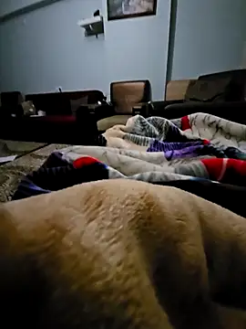 Snapshot of fena-sikerimmm chatting on 02.21.26 fena-sikerimmm online show from 02.21.26