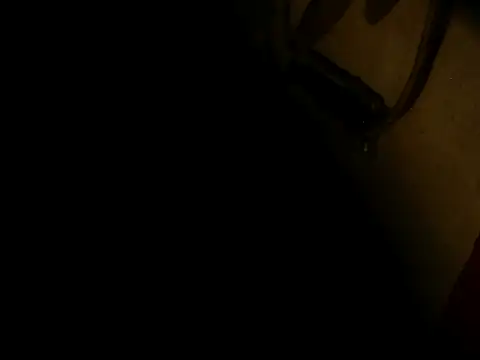 Snapshot of PIGBABY-LOVE chatting on 10.11.25 PIGBABY-LOVE online show from 10.11.25