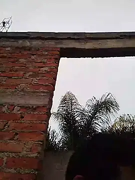 TragicAirplane168 online show from 12.14.25