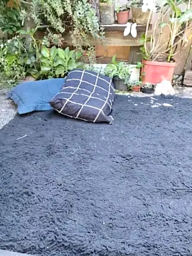 bad wolf28 online show from 11.11.25