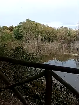 pegaso369 online show from 10.20.25