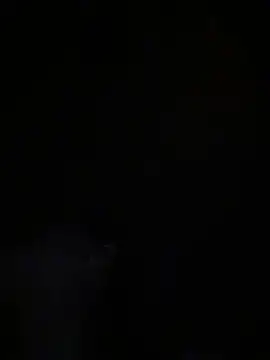 Lexi Storm online show from 01.15.26